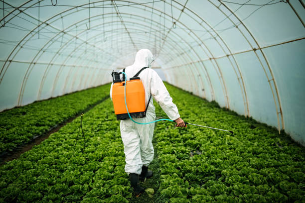 Best Pest Control Near Me in Barclay, NJ