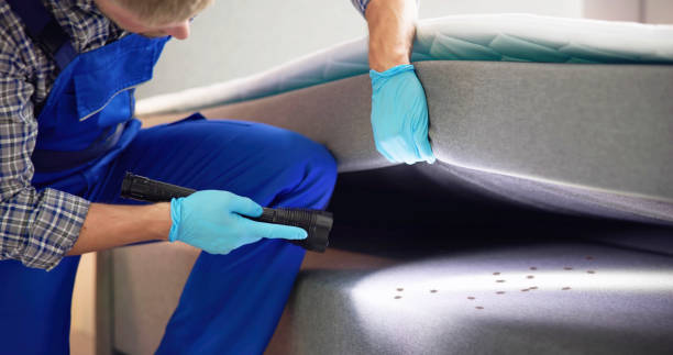 Best Insect Control  in Barclay, NJ