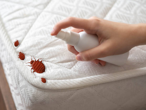 Best Mosquito Control Services  in Barclay, NJ