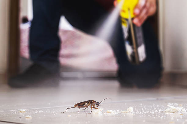 Best Commercial Pest Control Services  in Barclay, NJ